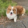 つむじ