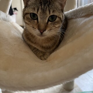調整中のため、一旦ストップさせていただきます。