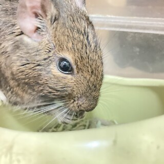 マイペースな可愛い女の子