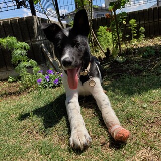 「あゆむ」女の子