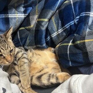 人懐っこい、オスです！