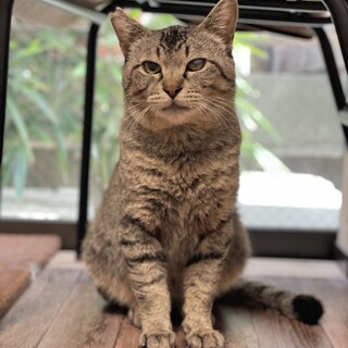 穏やかで甘えん坊２歳の男の子