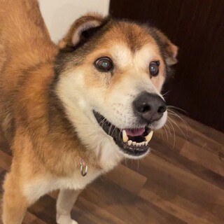 不思議な太陽くん♡