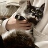 人も猫も大好き！１才半の女の子 サムネイル4