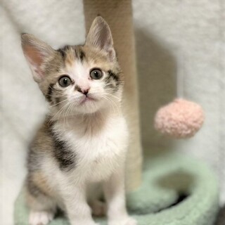 【7/2東銀座】美桜ちゃん★3ヵ月