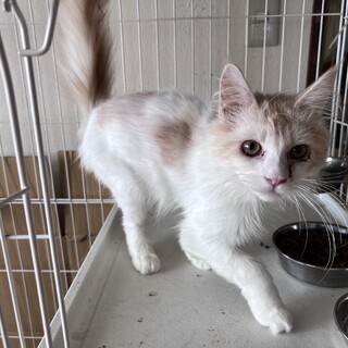 片足だけど元気な男の子