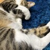 おきてるよ〜