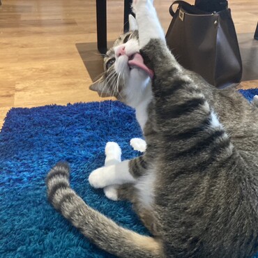 の写真