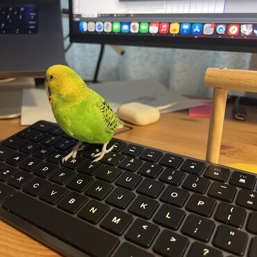 はっぱちゃん