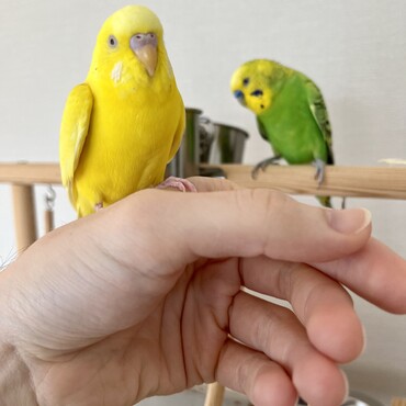 の写真