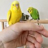 の写真