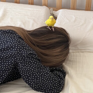 ひまちゃん