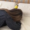 ひまちゃん