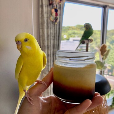 の写真
