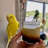 の写真