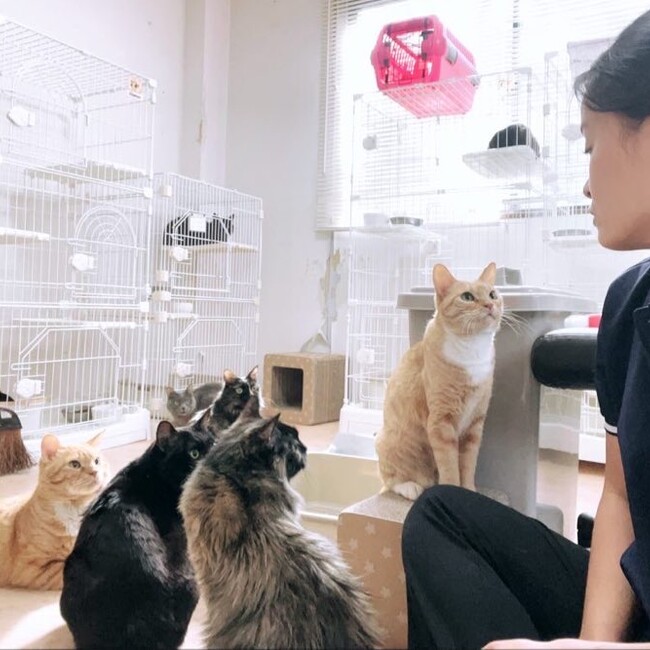 ぶっちーらいふのカバー写真