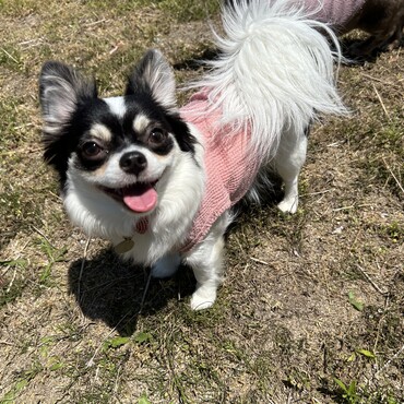 人が大好きだけど、臆病な所もあります