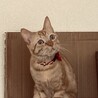 お迎え1週間後くらいかな？