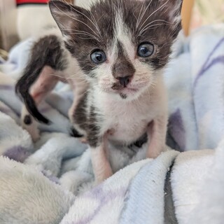 鼻黒がチャーミングなかわいいコ♡♡