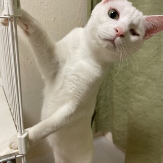 片目の天使うるる君☆約1歳