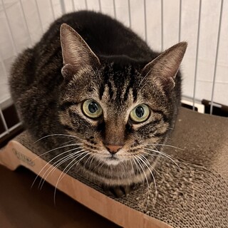 お話大好き優ちゃん！