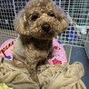 モチヅキパルさん