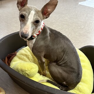 甘えん坊で誰とでも仲良くできちゃう小梅ちゃん