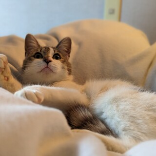 人懐っこいかわいい女の子です❤