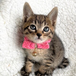 【5/21東銀座】雅くん★1ヵ月半