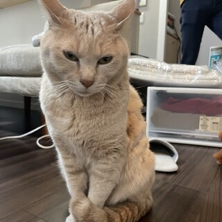 外大好きのまだくん