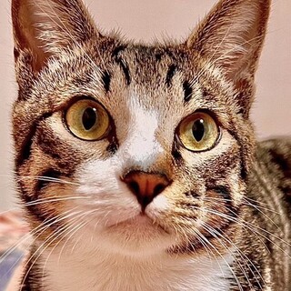 人懐っこくて、愛嬌いっぱいのライくん