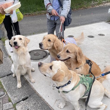 友達