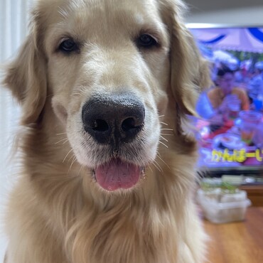 の写真