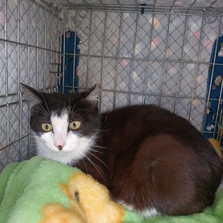 人慣れ◎鼻ポチのロクちゃん