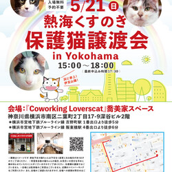 熱海くすのき保護猫譲渡会in横浜