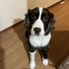 少し臆病な美人すぎる女の子！ サムネイル7