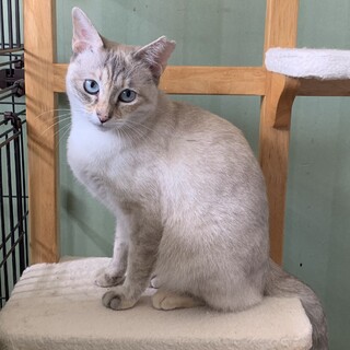 人見知りな女の子♡