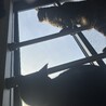 ルロージャパン