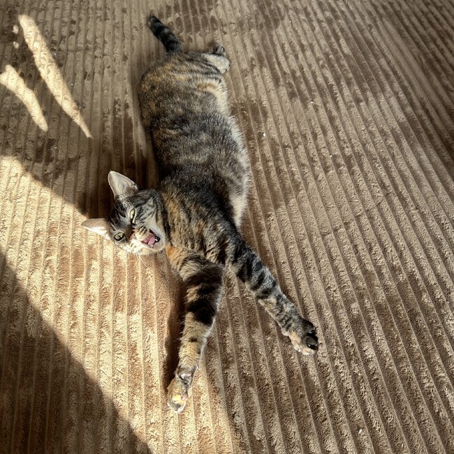 ルロージャパンのカバー写真