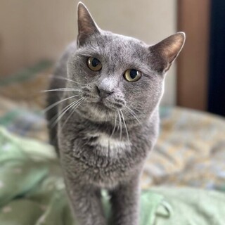 ボルトくん❤️