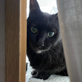 SOS！再開発で置き去りのシニア