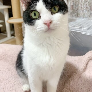 【5/21東銀座】ルークくん３歳♪