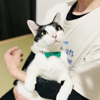 とにかく甘えん坊！初対面でもスリスリな男の子！