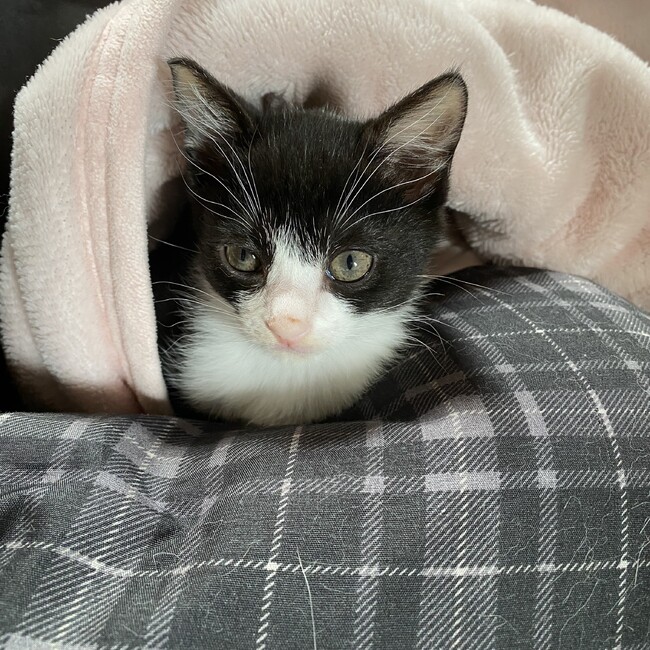 おんち©︎のカバー写真