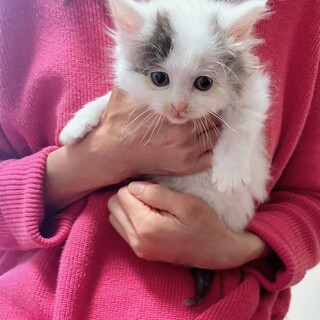 元気いっぱい3兄妹愛情たっぷり♡いーちゃん