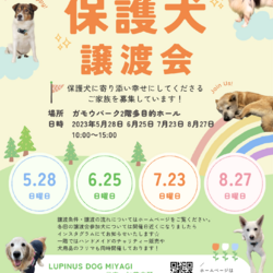 5月～8月　保護犬譲渡会