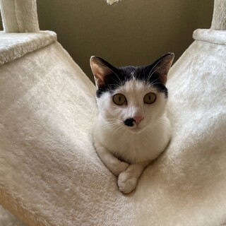 ポーズが得意のおベルちゃん❤️