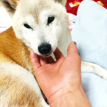 雷さん(⁠＾⁠∇⁠＾⁠)⁠ﾉ⁠♪仮病を疑われるほど元気に？？お薬すごいね♪♪このままもっと⤴⤴元気に♪
