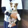 それぞれ譲渡になりました！！ サムネイル4