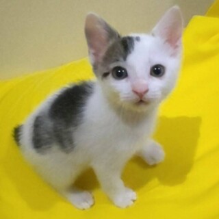 元気一杯★ゆきみちゃん